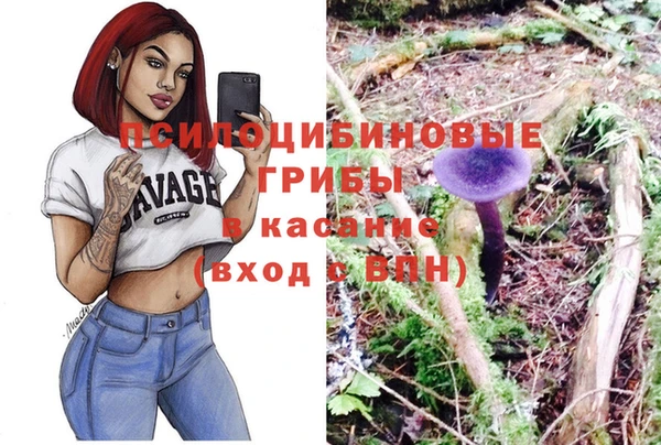 СК Наволоки