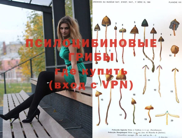 СК Наволоки