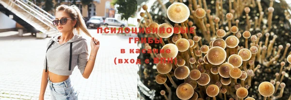 винт Надым