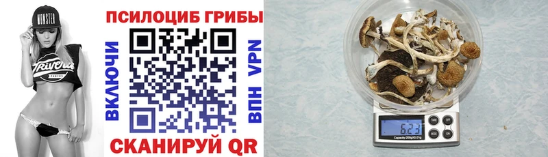 наркотики  Дербент  Галлюциногенные грибы ЛСД 